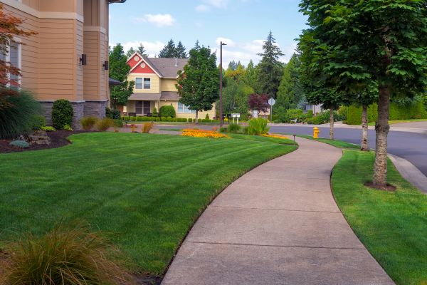 Cost of Sidewalk Patching in Red Oak